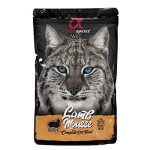 ALPHA FELINE CORDERO
