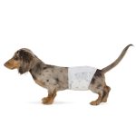 PAÑAL PARA PERROS L 10U