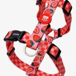DUKIER ARNES REV FRESA S