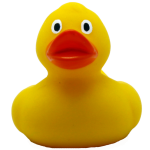MC DOG MINI PATO 6KG