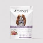 P01 BRILLIANT BEEF & CHICKEN 300gr