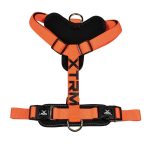 ARNES X-TRM CRONOS NARANJA M