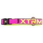 COLLAR GATO X-TRM NEON ROS