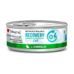 DISU CAT DIET RECOVER CONEJO 85GR