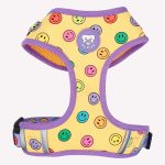 DUKIER ARNES AJUST SMILEY XS