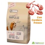 IMPUL DOG ADULT LAMB 12KG