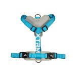 ARNES X-TRM CRONOS AZUL M