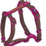 ARNES X-TRM PREM MARRON CARDENAL XL